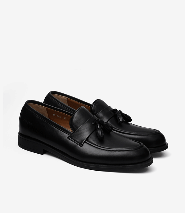 HACKNEY CUIR NOIR - CL665 - CELENO - Congo